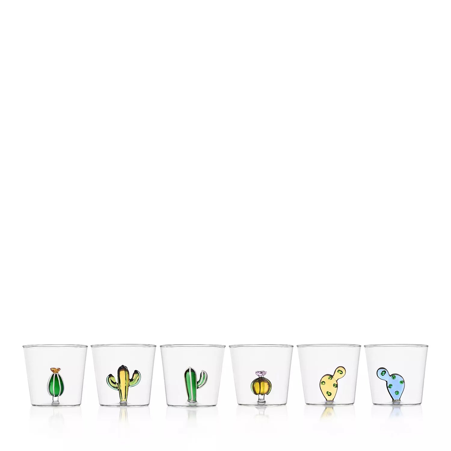 Desert Plants Tumblers (Set of 6)