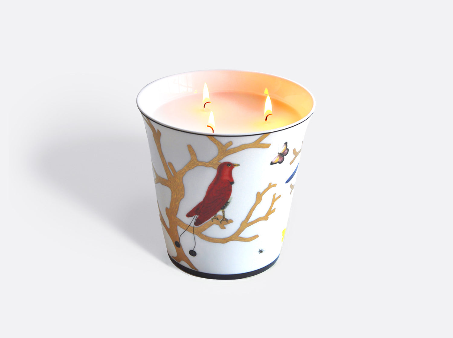 Aux Oiseaux Large Tumbler Scented Candle