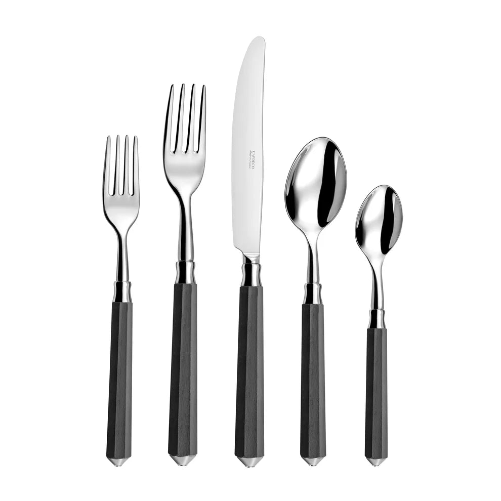 Galaxie Ebony  Flatware 5 PCS