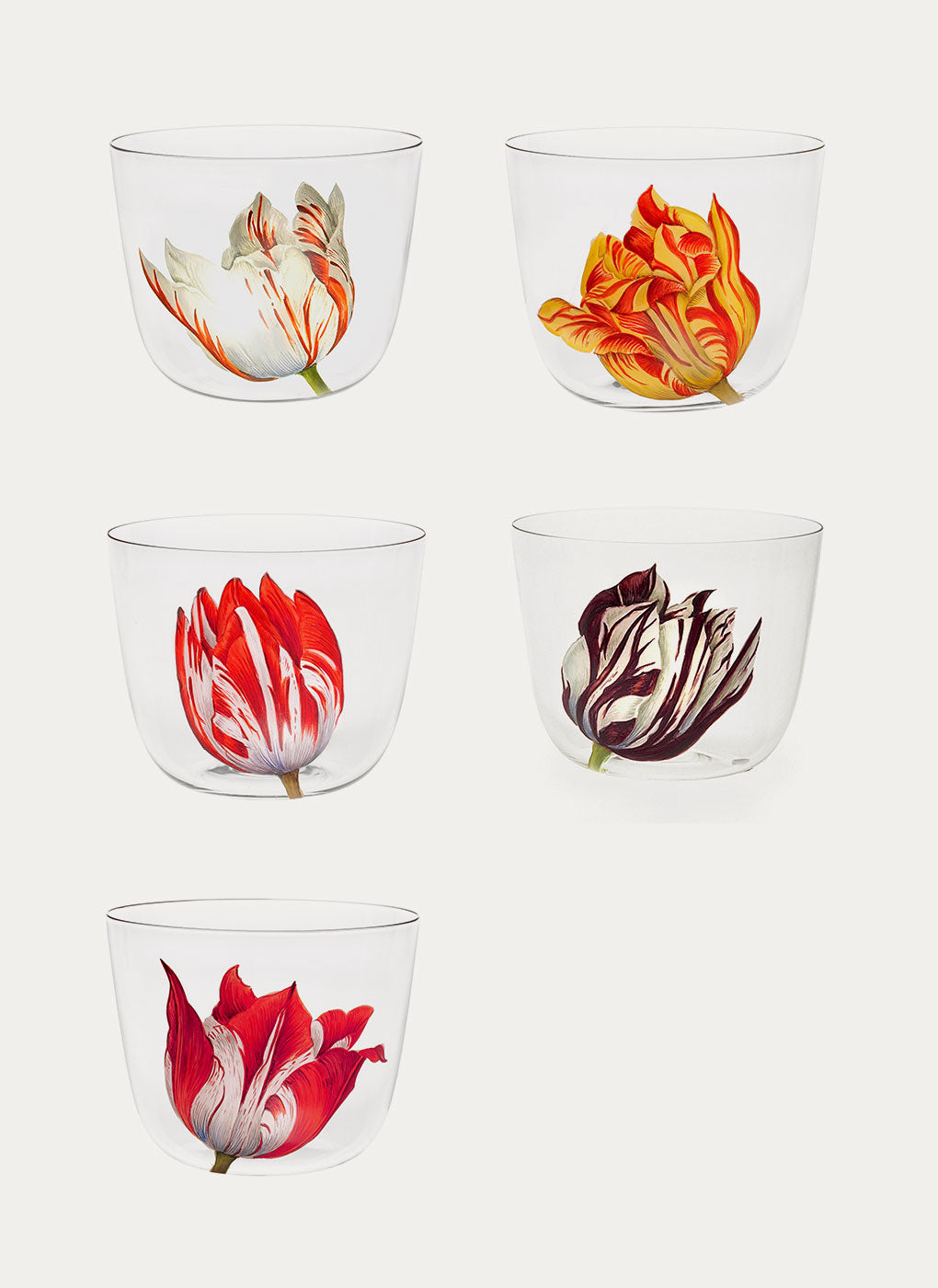 Tulipmania Water Tumbler (Set of 6)