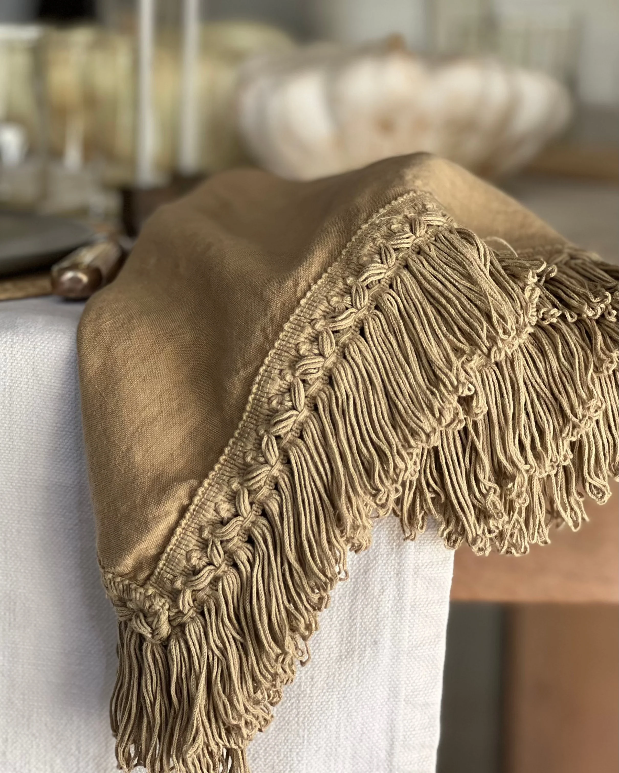 Linen Napkin with Long Fringe (Set of 4)