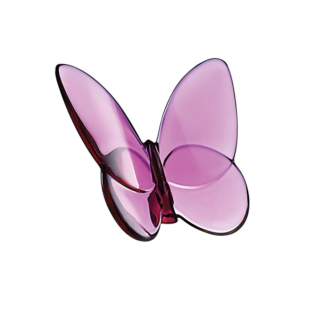 Papillon Lucky Butterfly