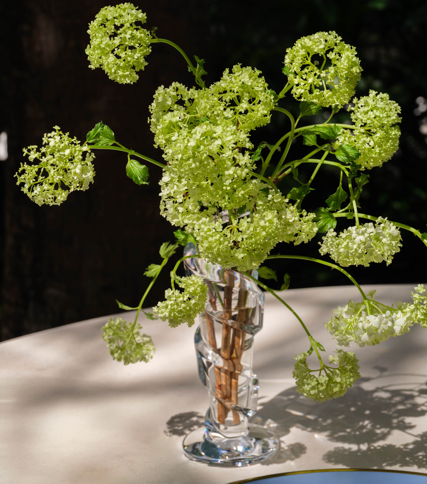 Spirale Vase