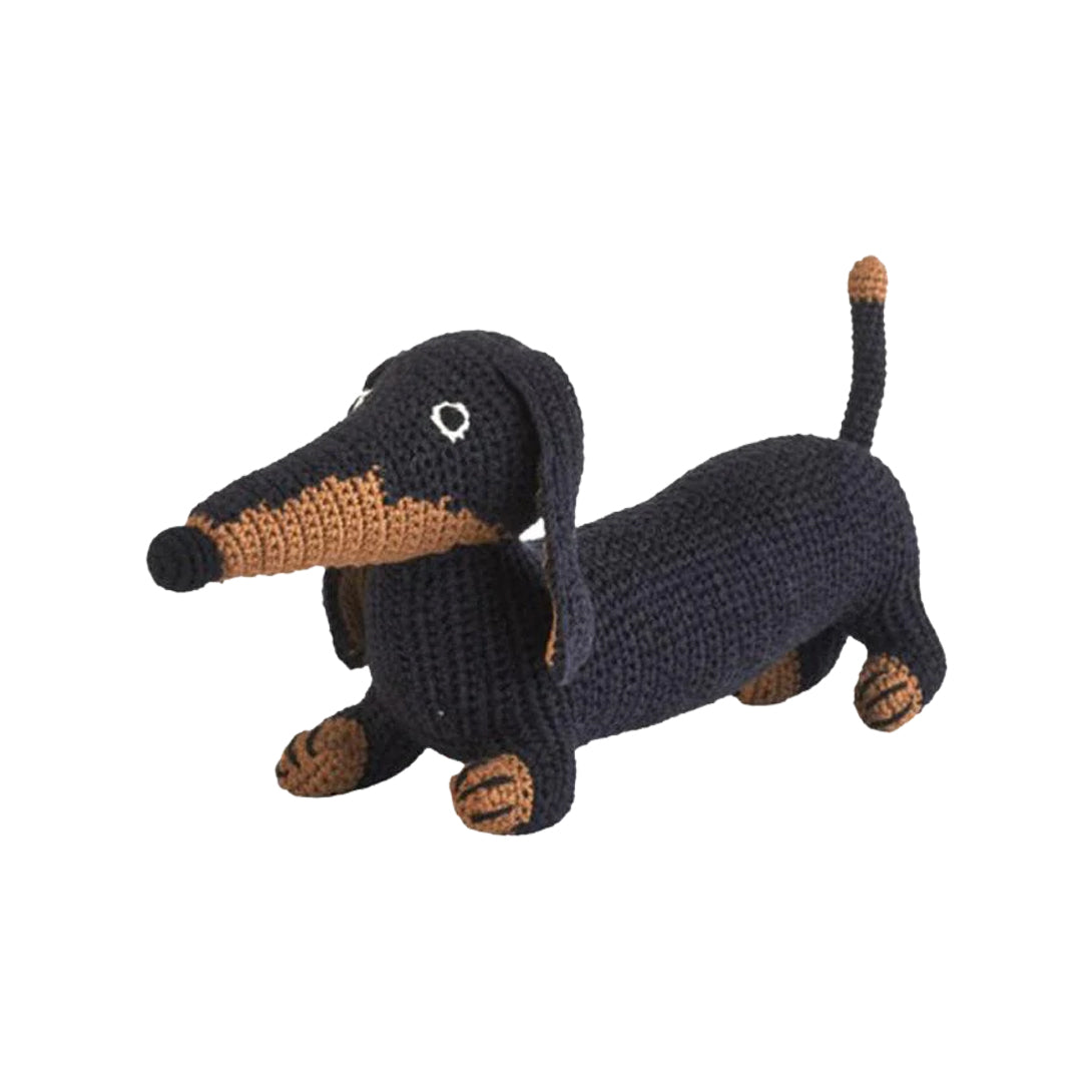 Dachshund