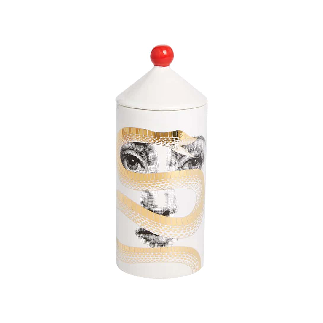 Talvolta Scented Room Spray, Peccato Originale Décor, Snake