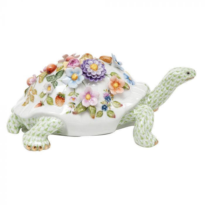 Blossoming Tortoise