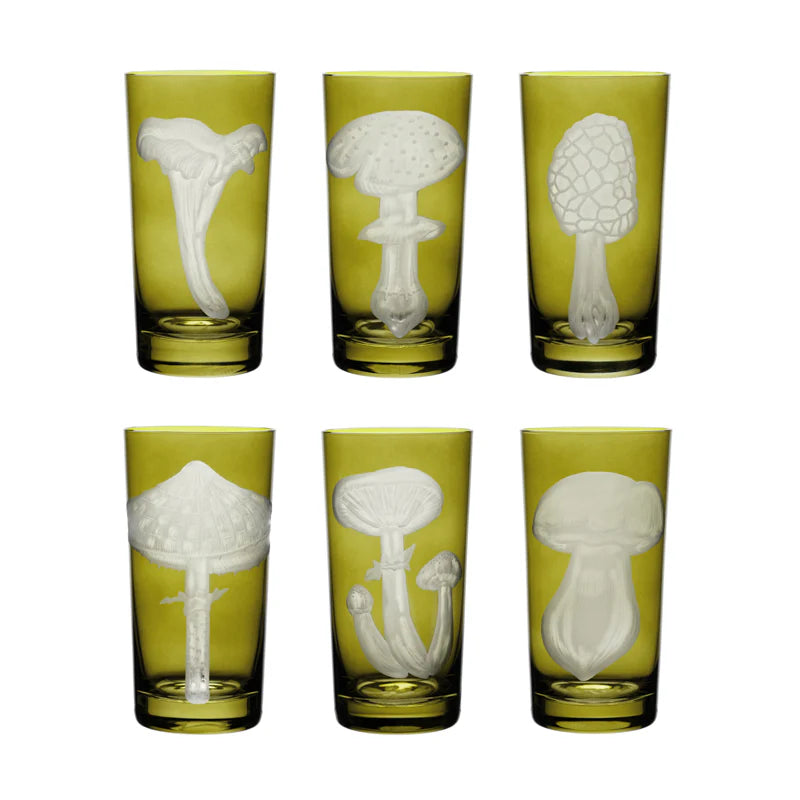 Mushroom Collection Highball (Set of 6)
