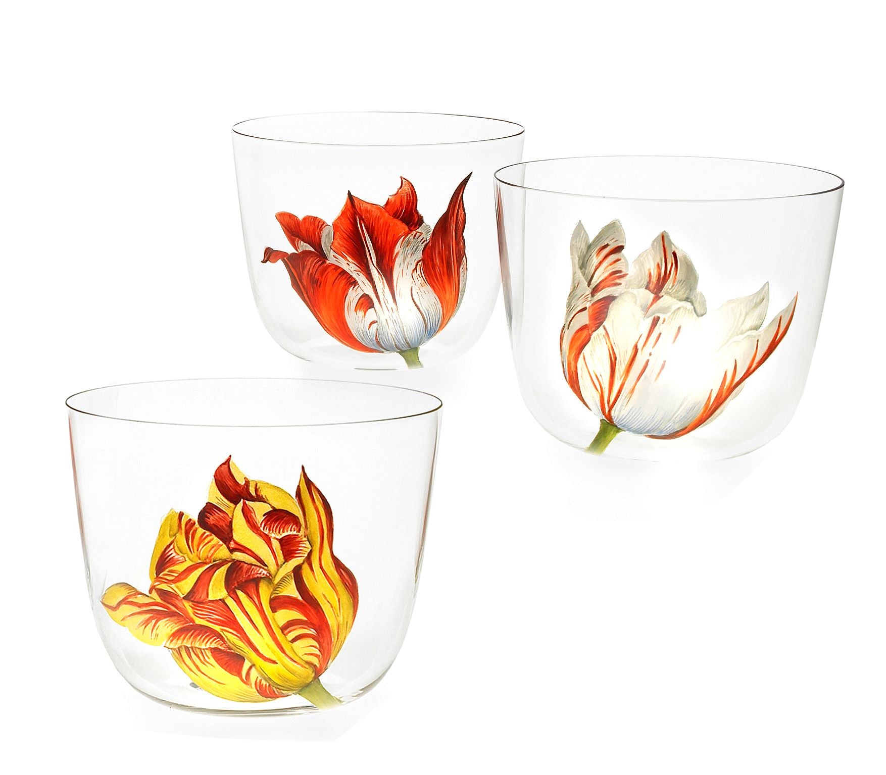 Tulipmania Water Tumbler (Set of 6)